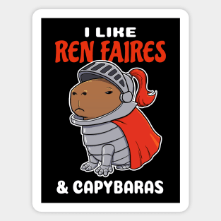 I Like Ren Faires and Capybaras Cartoon Magnet